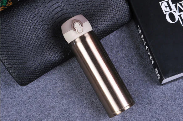 Insulated Stainless Steel Water Bottle
